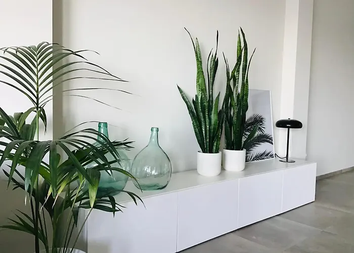 Marvido Appartement *