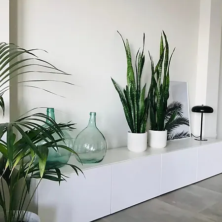 Marvido Apartman *